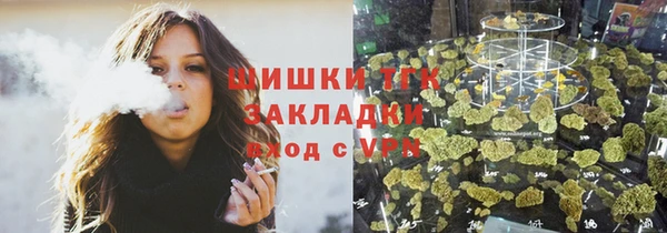 тгк Алзамай
