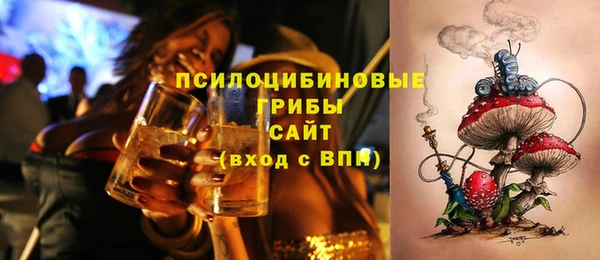 a pvp Алексин