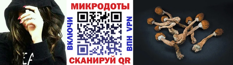 Галлюциногенные грибы MAGIC MUSHROOMS  Данков 
